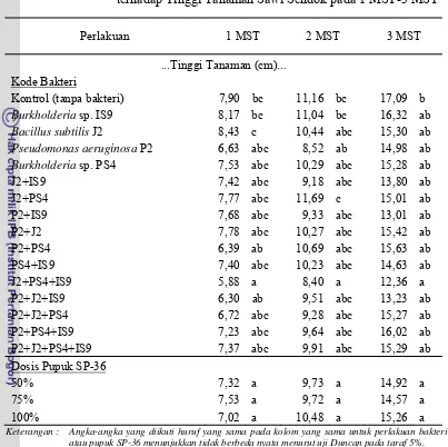 Tabel Lampiran 5. Pengaruh Perlakuan Bakteri Pelarut Fosfat dan Pupuk SP-36 terhadap Tinggi Tanaman Sawi Sendok pada 1 MST-3 MST 