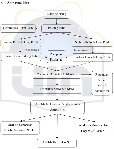 Gambar 2. Diagram alur penelitian 