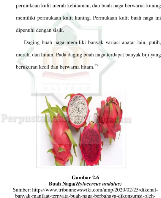 Gambar 2.6  Gambar 2.6 