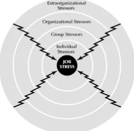 Figure II.  Categories of Stressors Affecting Occupational Stress 