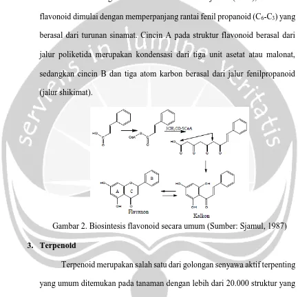 Gambar 2. Biosintesis flavonoid secara umum (Sumber: Sjamul, 1987)   