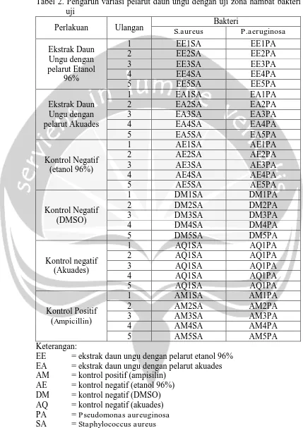 Tabel 2. Pengaruh variasi pelarut daun ungu dengan uji zona hambat bakteri uji 