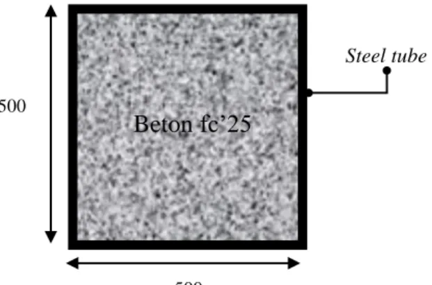 Gambar 4.3: Penampakan komposit CFT dengan profil HSS 500×500×25×25. 