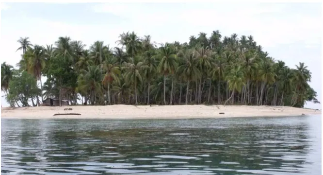 Gambar 3.5. Salah satu “lahan pasir” tempat bertelur penyu yang terawat di Pulau Kepala Tambelan (PPSPL UMRAH, 2009) 