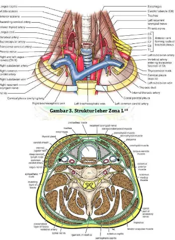 Gambar 3. Struktur leher Zona I.10 