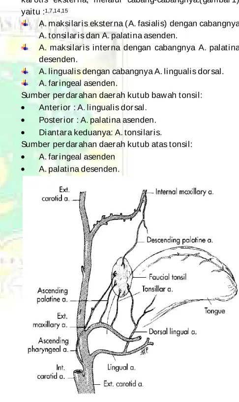 Gambar 1. Perdarahan Tonsil14 