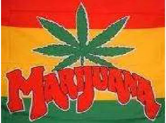 Gambar 2. Gambar marijuana dengan warna cirikhas reggae 