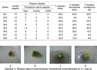 Tabel 1. Pengaruh komposisi media inisiasi terhadap perubahan eksplan daun Phalaenopsis pada 6 MST 