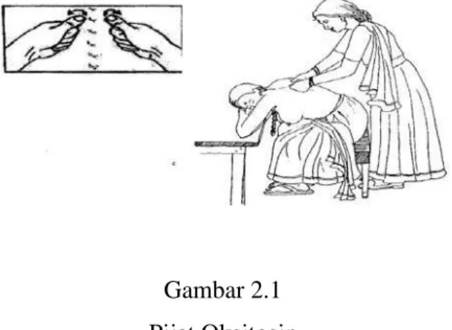 Gambar 2.1  Pijat Oksitosin 
