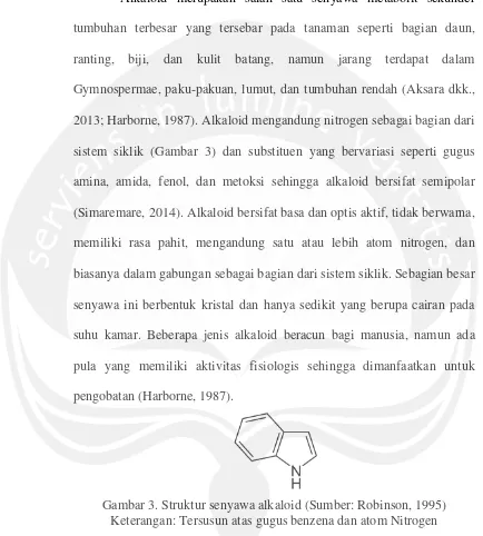 Gambar 3. Struktur senyawa alkaloid (Sumber: Robinson, 1995) 