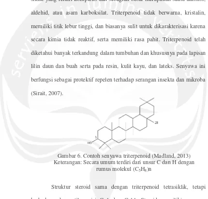 Gambar 6. Contoh senyawa triterpenoid (Madland, 2013) 