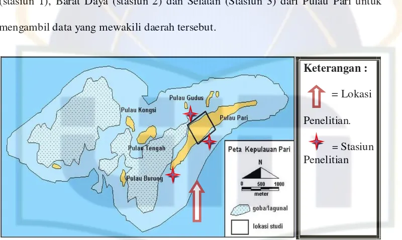 Gambar 6. Lokasi dan Stasiun penelitian P. Pari, Kepulauan Seribu (PusLit         Geoteknologi-LIPI, 2002)