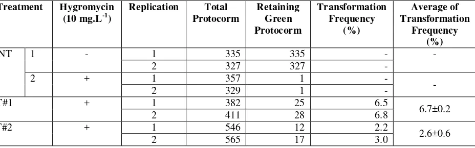 Table 1.  Transformation Frequency of pGA3426 and pGAS102 containing Agrobacterium into protocorms