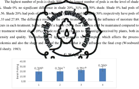 Figure 6. Effect of shade level against the green bean pods Description: The figure followed by the same letter show no significant difference in DMRT 5% Score 1 = 0%, 2 = 20%, 3 = 31%, 4 = 50% 