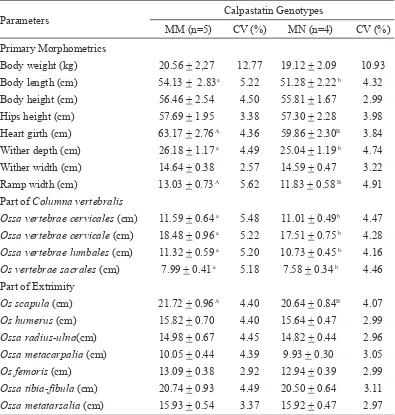 Tabel 1. Morphometrc performance of sheep wth dfferences of calpastatn genotypes