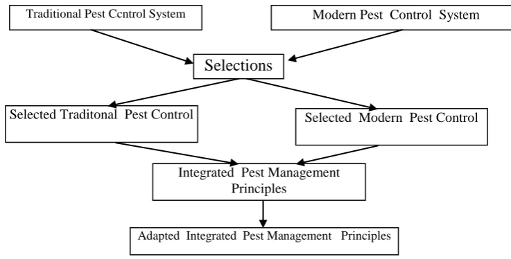 Figure 2. The Selection Processes of  Traditional  – Modern Knowledge 