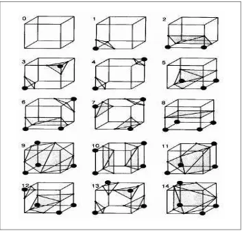 Gambar 2 : Pola Kubus Imajiner Algoritma Marching Cube 