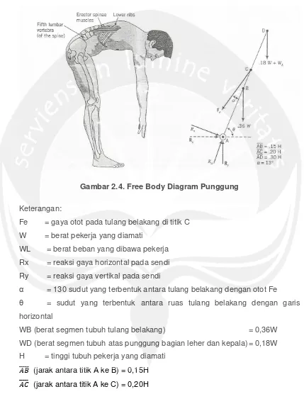 Gambar 2.4. Free Body Diagram Punggung  