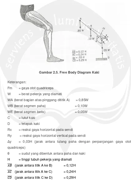 Gambar 2.5. Free Body Diagram Kaki  