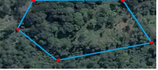 Gambar 4.4 Peta Citra Plot Area  Pertumbuhan Pohon 