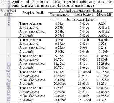 Tabel 2 Aplikasi bakteri probiotik terhadap tinggi bibit cabai yang berasal dari 