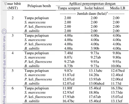 Tabel 3 Aplikasi bakteri probiotik terhadap jumlah daun cabai yang berasal dari benih yang telah mengalami penyimpanan selama 6 minggu 