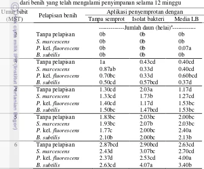 Tabel 6  Aplikasi bakteri probiotik terhadap jumlah daun bibit cabai yang berasal dari benih yang telah mengalami penyimpanan selama 12 minggu 