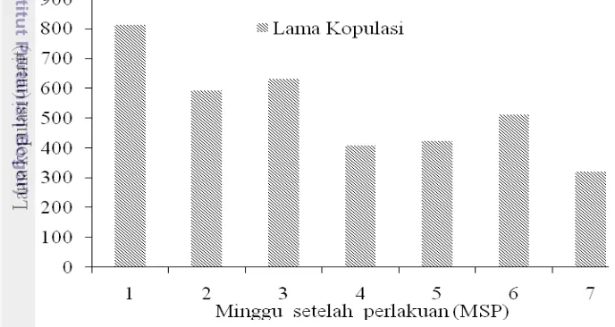 Gambar 3  Rerata lama kopulasi (menit) per minggu oleh  imago A. indica 