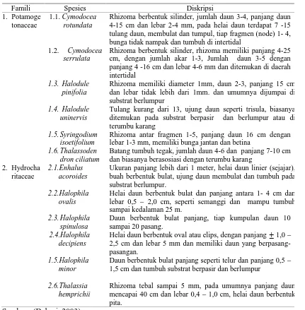 Tabel 3 Ciri-ciri spesies lamun yang ditemukan di perairan pesisir Indonesia.