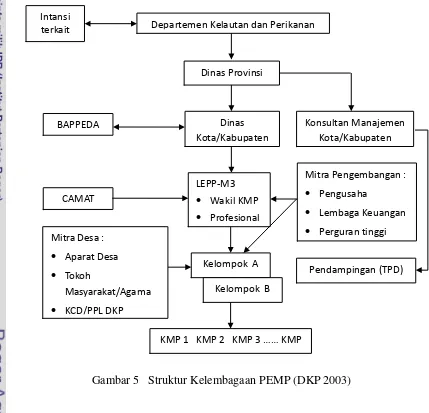Gambar 5   Struktur Kelembagaan PEMP (DKP 2003) 
