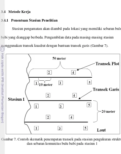 Gambar 7. Contoh skematik penempatan transek pada stasiun pengukuran struktur 