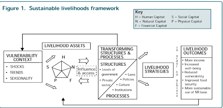 Figure 1.1.  Sustainable Livelihoods Framework (DFID, 1999)  