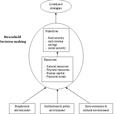 Figure 1.2.  Factors conditioning the household decision making process. 