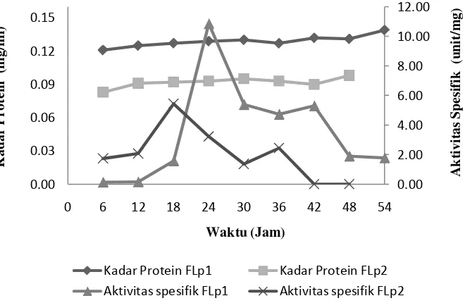 Gambar 7. Kurva kadar protein dan aktivitas enzim spesifik bakteri proteolitik pada media nutrient broth skim diinkubasi dengan suhu 300 C selama 54 jam