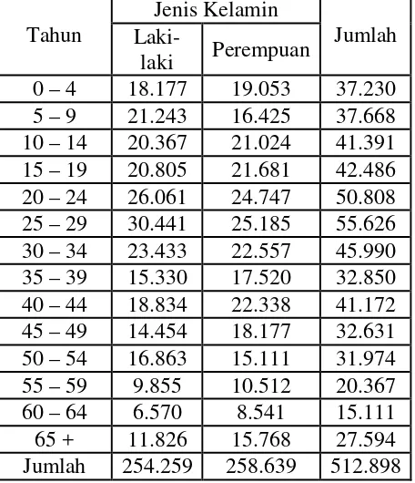 Tabel IV. 4. Penduduk Kota Surakarta Menurut Kelompok Umur dan Jenis Kelamin Tahun 2006 (Berdasarkan hasil SUSENAS 2006)