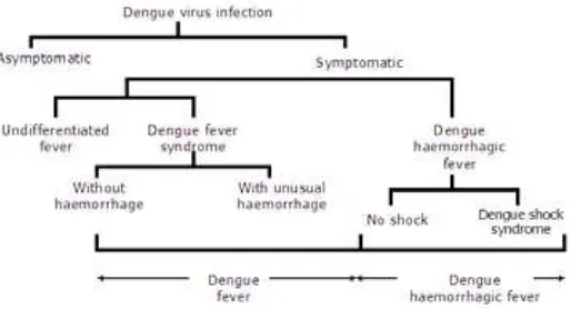 Gambar 1. Spektrum klinis infeksi virus Dengue8
