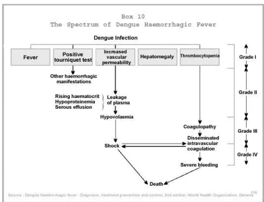 Gambar 3. Patogenesis dan spektrum klinis DBD (WHO, 1997)5