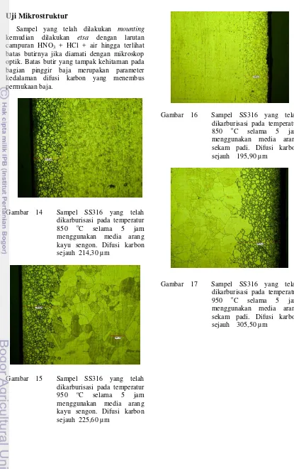 Gambar 17  Sampel SS316 yang telah dikarburisasi pada temperatur 950 oC selama 5 jam menggunakan media arang sekam padi