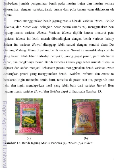 Gambar 15. Benih Jagung Manis Varietas (a) Hawai (b) Golden 