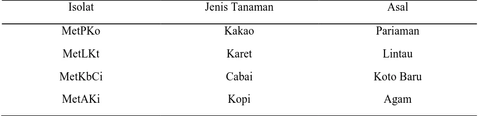 Tabel 1. Isolat Metarhizium spp yang digunakan dalam penelitianIsolatJenis Tanaman