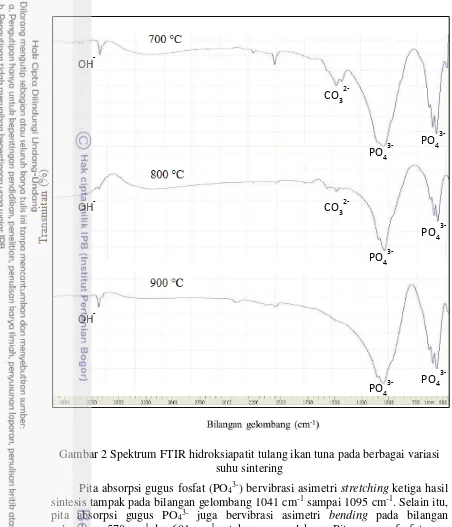 Gambar 2 Spektrum FTIR hidroksiapatit tulang ikan tuna pada berbagai variasi 