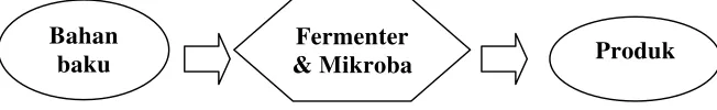 Gambar 1: Skema Proses Fermentasi 