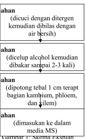 Gambar 1: Skema Eksplanmedia MS)