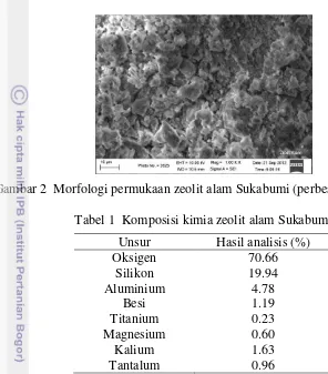 Gambar 2  Morfologi permukaan zeolit alam Sukabumi (perbesaran 1000 kali) 
