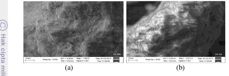 Gambar 3  Morfologi permukaan zeolit alam yang diaktivasi dengan pemanasan o