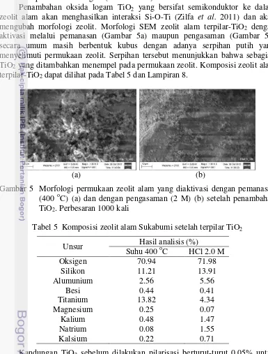 Gambar 5  Morfologi permukaan zeolit alam yang diaktivasi dengan pemanasan o