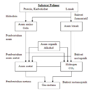 Gambar 1. Tahapan proses dekomposisi anaerobik (Hambali et al. 2008) 