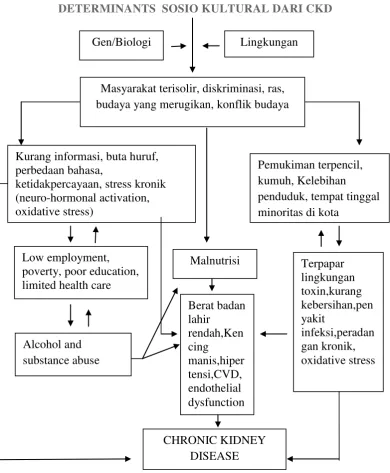 Gambar 1 Determinants Sosio Kultural dari CKD