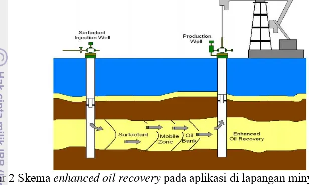 Gambar 2 Skema  enhanced oil recovery pada aplikasi di lapangan minyak (Gurgel 