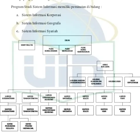 Gambar 4.1 Struktur Organisasi Fakultas Sains dan Teknologi(Rektor UIN, 2005)